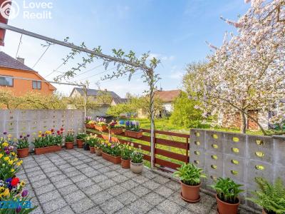 Продаж сімейного будинку Lanškroun, Dvorská 816 č. 7