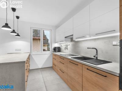 Продаж сімейного будинку Lanškroun, Dvorská 816 č. 16