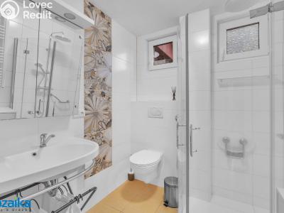 Продаж сімейного будинку Lanškroun, Dvorská 816 č. 25