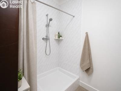 Аренда квартиры 3+1 Praha č. 3