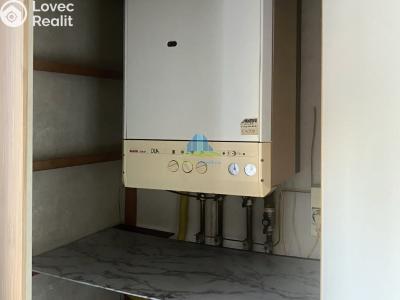 Prodej bytu 1+1 Plesná, Světlá 476 č. 10