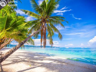 Sale villa Island Garden City of Samal č. 5