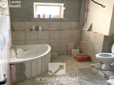 Продаж багатогенного будинку Brodek u Konice č. 13