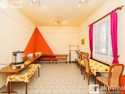Prodej ubytovacího zařízení Plavy č. 15