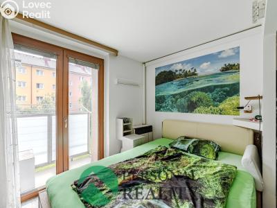 Продаж квартири 1+1 Neratovice, Vančurova č. 2
