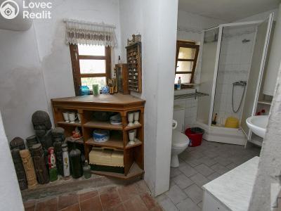 Продаж ферми Řepníky č. 29
