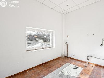 Prodej výrobní haly Heřmanův Městec, Tylova č. 17
