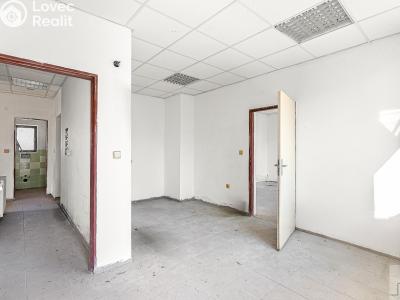Prodej výrobní haly Heřmanův Městec, Tylova č. 19