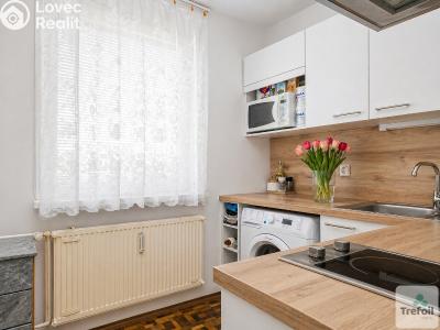 Prodej bytu 1+1 Liberec, Borový vrch č. 5
