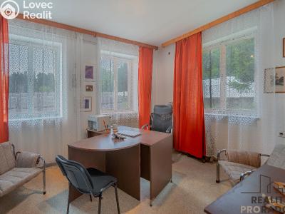 Продаж виробничого цеху Moravský Krumlov, Pod Leskounem č. 8
