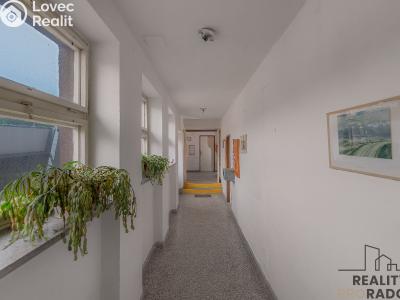 Продаж виробничого цеху Moravský Krumlov, Pod Leskounem č. 10
