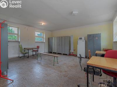 Продаж виробничого цеху Moravský Krumlov, Pod Leskounem č. 11