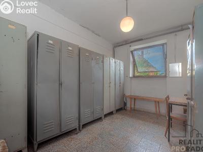 Продаж виробничого цеху Moravský Krumlov, Pod Leskounem č. 12