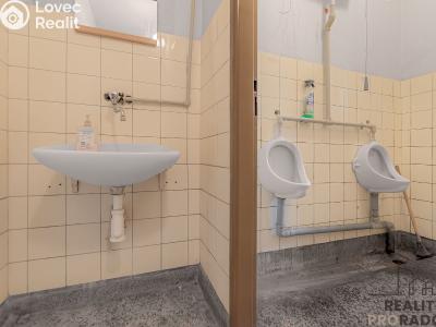 Продаж виробничого цеху Moravský Krumlov, Pod Leskounem č. 14