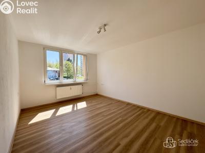 Rent apartment 3+1 Sokolov, Mánesova č. 4