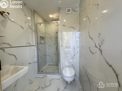 Rent apartment 3+1 Sokolov, Mánesova č. 11