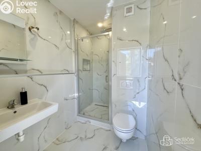 Rent apartment 3+1 Sokolov, Mánesova č. 13