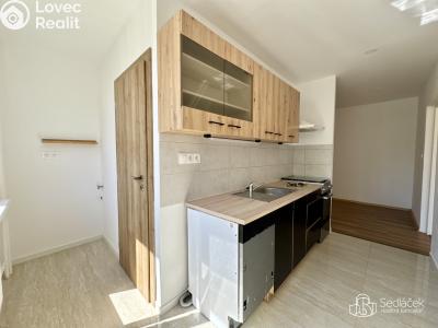 Rent apartment 3+1 Sokolov, Mánesova č. 14