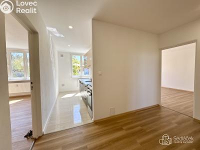 Rent apartment 3+1 Sokolov, Mánesova č. 18