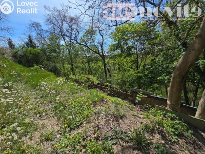 Продажа хижины Benátky nad Jizerou č. 17