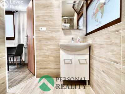 Pronájem ubytovacího zařízení Praha, Křižíkova č. 31