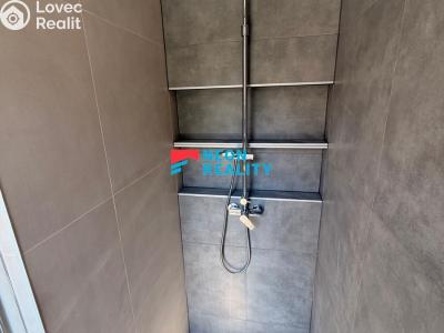 Pronájem bytu 3+KK Ostrava, Zborovská č. 15