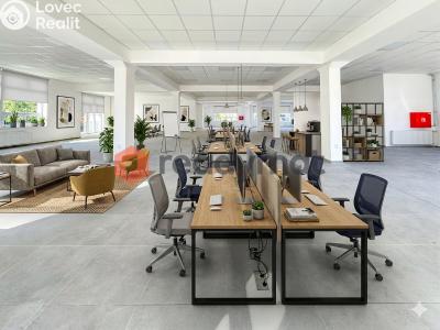 Rent commercial space Hodonín, Křičkova č. 6