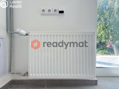 Rent commercial space Hodonín, Křičkova č. 16