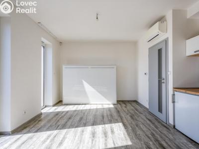 Pronájem bytu 1+KK Chlumec nad Cidlinou, Rooseveltova č. 4