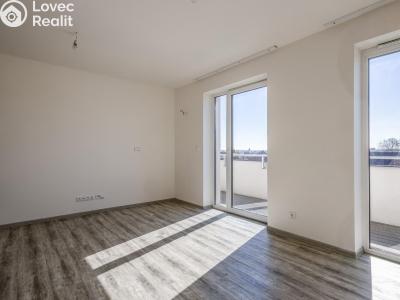 Pronájem bytu 1+KK Chlumec nad Cidlinou, Rooseveltova č. 6