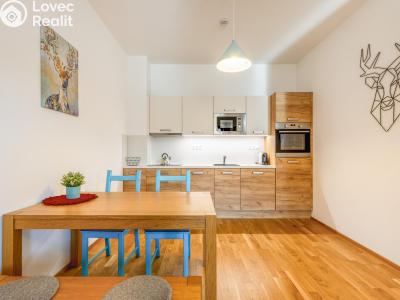 Sale apartment 2+KK Deštné v Orlických horách č. 1