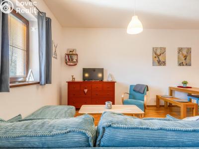 Sale apartment 2+KK Deštné v Orlických horách č. 4