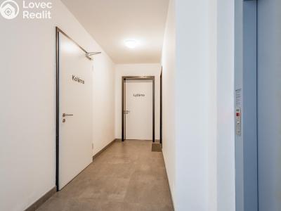 Sale apartment 2+KK Deštné v Orlických horách č. 11