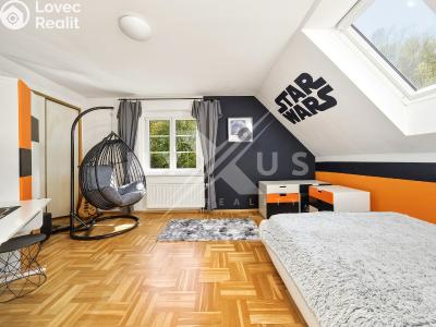 Продаж сімейного будинку Týnec nad Sázavou, Sad přátelství 97 č. 16