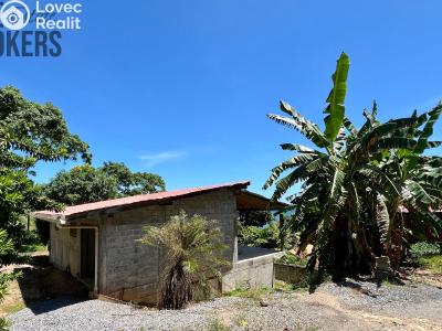 Prodej rodinného domu Coxen Hole,Honduras č. 7