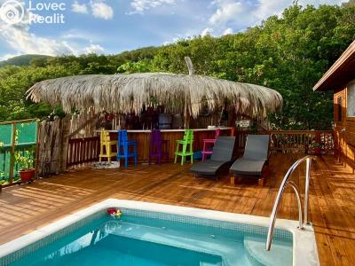 Sale villa Coxen Hole,Honduras č. 45