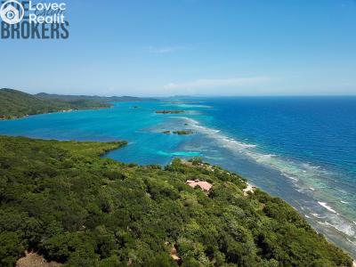 Sale villa Coxen Hole,Honduras č. 77