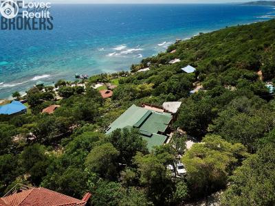 Sale villa Coxen Hole,Honduras č. 89