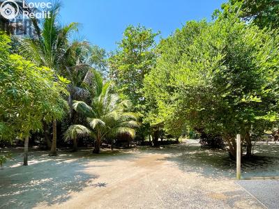 Sale villa Coxen Hole,Honduras č. 5