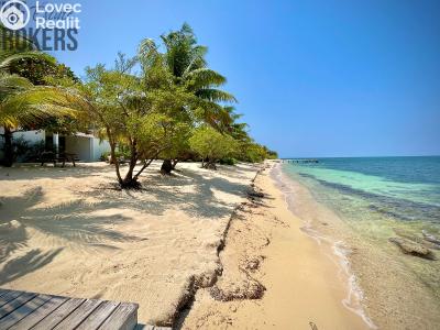 Sale villa Coxen Hole,Honduras č. 19