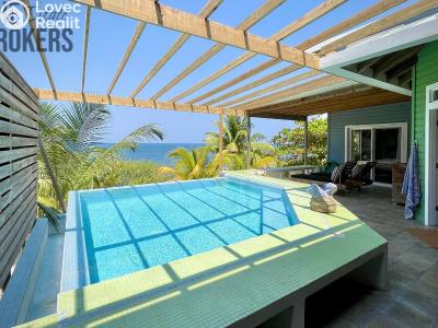 Sale villa Coxen Hole,Honduras č. 98