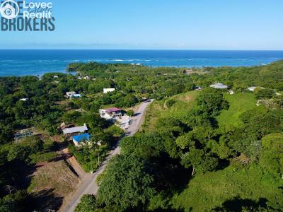 Sale villa Coxen Hole,Honduras č. 10
