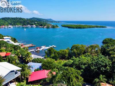 Sale villa Coxen Hole,Honduras č. 10