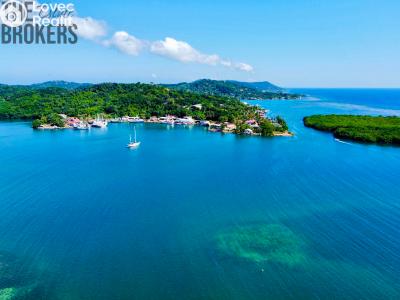 Sale villa Coxen Hole,Honduras č. 14