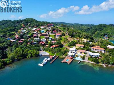 Sale villa Coxen Hole,Honduras č. 16