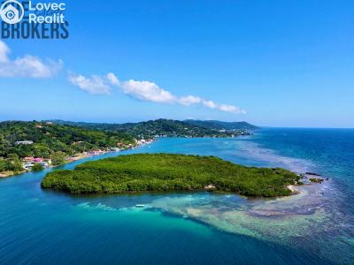 Sale villa Coxen Hole,Honduras č. 18