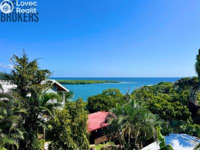 Sale villa Coxen Hole,Honduras č. 79