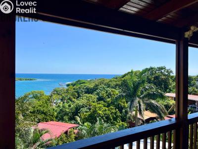 Sale villa Coxen Hole,Honduras č. 91