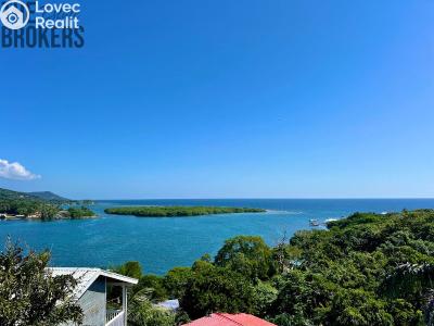 Sale villa Coxen Hole,Honduras č. 93