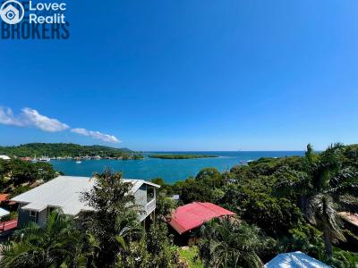 Sale villa Coxen Hole,Honduras č. 95